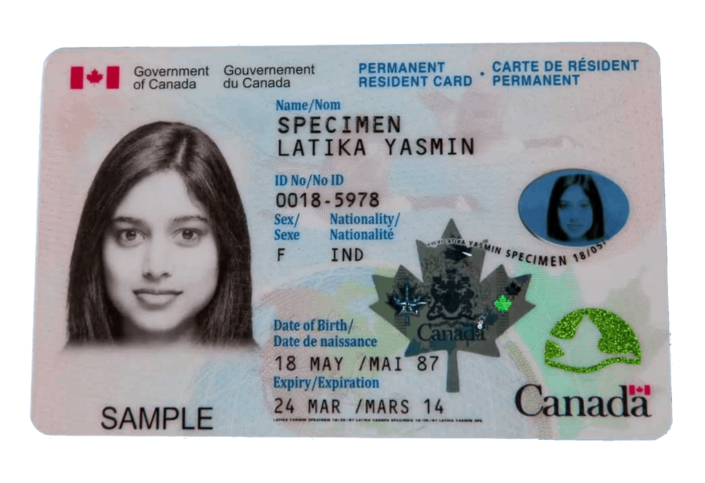 Purchase a legitimate driver's license from the EU, UK, Canada, or the United States. Purchase European drivers licenses, acquire residence permits, obtain passports and ID cards, including diplomatic passports. We offer a range of options such as German driver's licenses, Dutch ID cards, and UK licenses. Purchase a driving license, obtain a European driving license, acquire an international driving licence, regain your revoked licence. Purchase a boat license and acquire a hunting license, ship license and more.